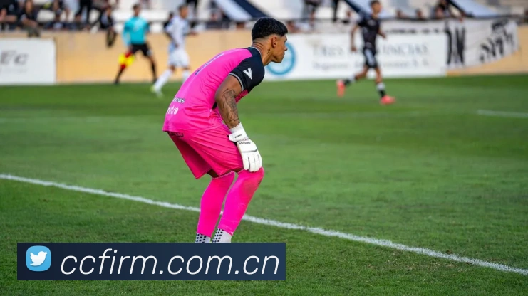 mk平台平台生态图